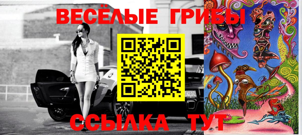 Галлюциногенные грибы Cubensis Верхняя Пышма