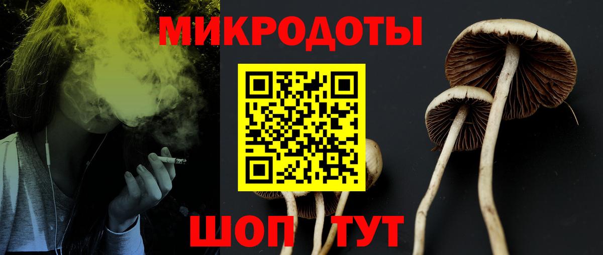 Верхняя Пышма  Галлюциногенные грибы прущие грибы  Вход с VPN 